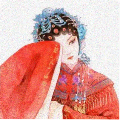 秦海璐头像